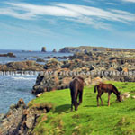 Dungeon Provincial Park, Bonavista Newfoundland, Canada